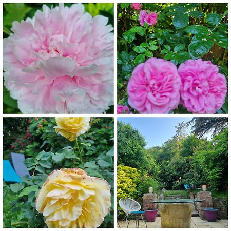 Suite De Charme Avec Jacuzzi Et Jardin Privatif Paris Au Calme Saint-Prix  Exterior foto