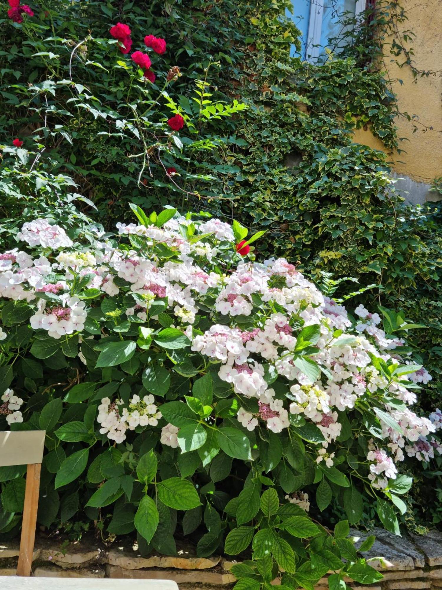 Suite De Charme Avec Jacuzzi Et Jardin Privatif Paris Au Calme Saint-Prix  Exterior foto